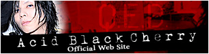 Acid Black Cherry official website