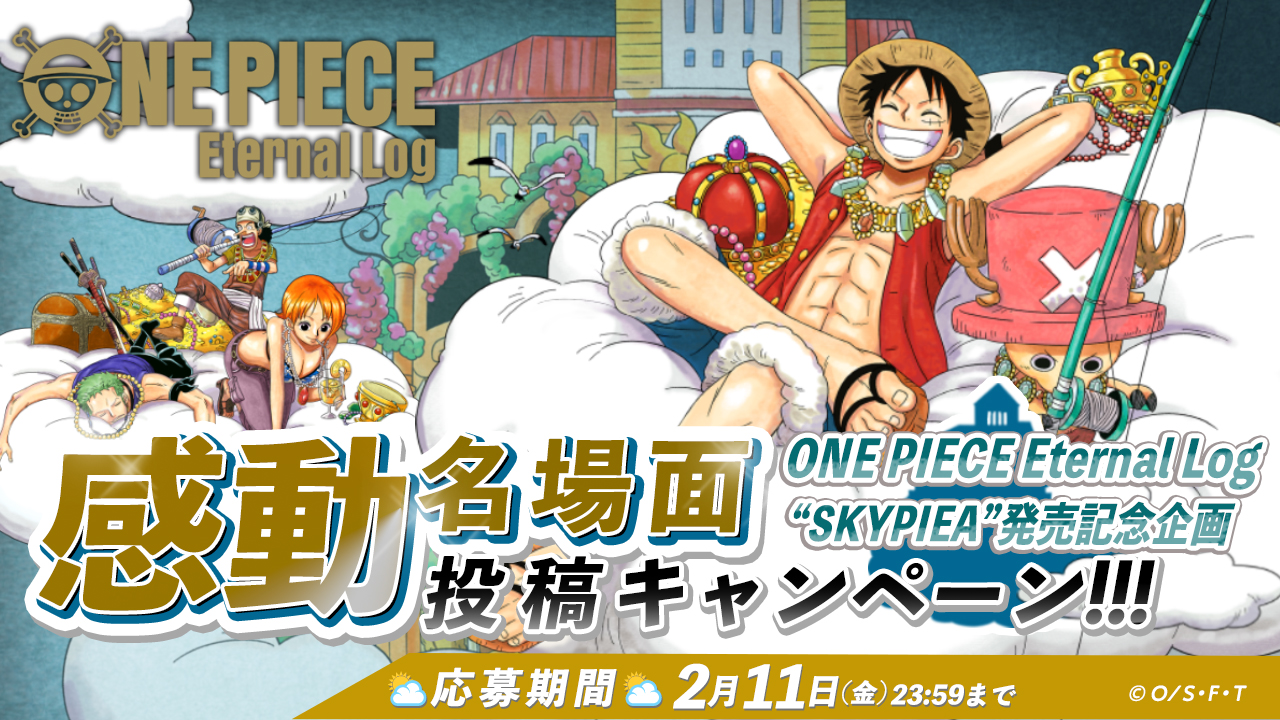 One Piece ワンピース Dvd公式サイト