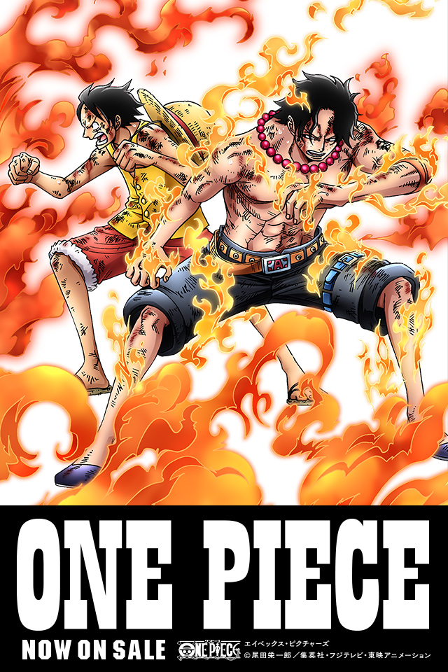 One Piece Log Collection